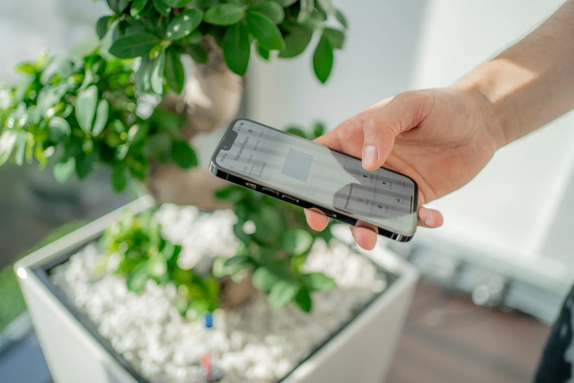 Unbearbeitete Rohaufnahme des Smartphone-Mockups, mit Lichtstreifen auf dem Display durch die Kameraeinstellungen